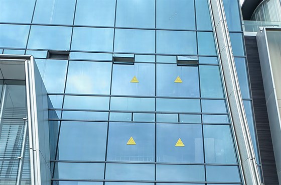 珠海极悦平台哪家做的比较好